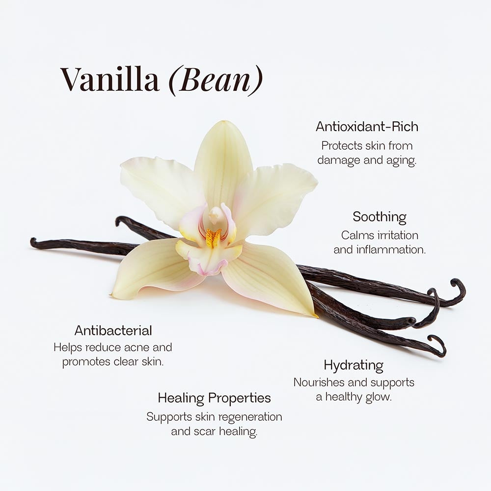 VEHAVEN ESSENTIALS Whipped Grass-Fed Tallow Balm with Vanilla Bean