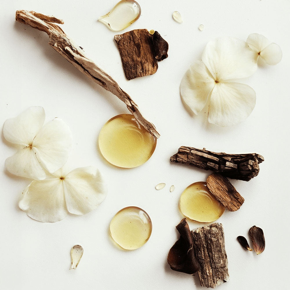 VEHAVEN ESSENTIALS Whipped Grass-Fed Tallow Balm with Vanilla Bean