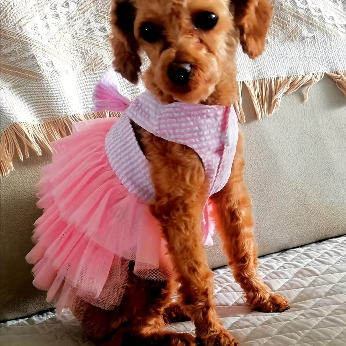 Luxury Princess Dog Dresses - Breathable Mesh, Bow-Tiful Tutus, Lace Skirts for Summer Stylish Pups!
