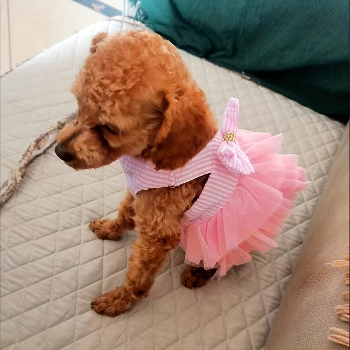 Luxury Princess Dog Dresses - Breathable Mesh, Bow-Tiful Tutus, Lace Skirts for Summer Stylish Pups!